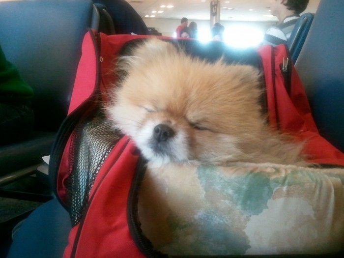 2010-12-20 12.13.56.jpg (1 MB)